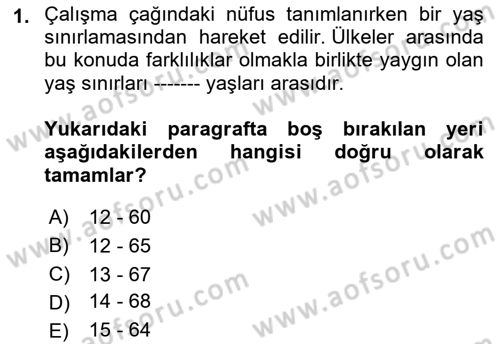 Çalışma Ekonomisi 1 Dersi 2022 - 2023 Yılı Yaz Okulu Sınav Soruları 1. Soru