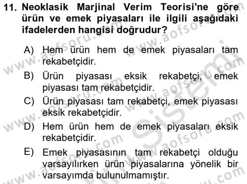 Çalışma Ekonomisi 1 Dersi 2022 - 2023 Yılı Yaz Okulu Sınav Soruları 11. Soru
