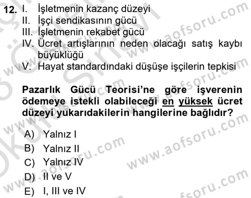 Çalışma Ekonomisi 1 Dersi 2022 - 2023 Yılı Yaz Okulu Sınav Soruları 12. Soru
