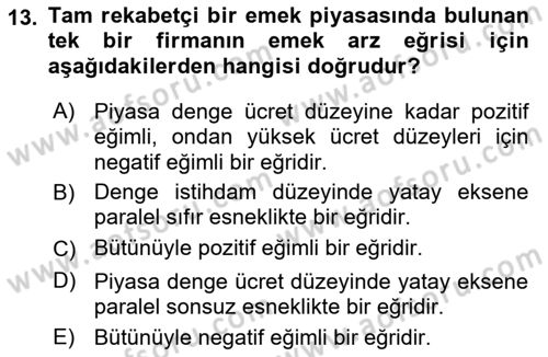 Çalışma Ekonomisi 1 Dersi 2022 - 2023 Yılı Yaz Okulu Sınav Soruları 13. Soru
