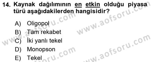 Çalışma Ekonomisi 1 Dersi 2022 - 2023 Yılı Yaz Okulu Sınav Soruları 14. Soru