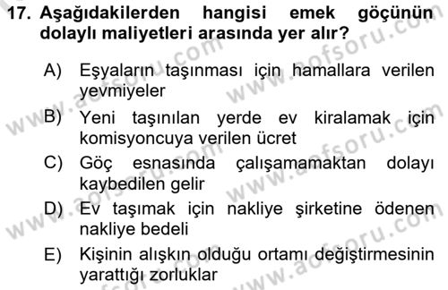 Çalışma Ekonomisi 1 Dersi 2022 - 2023 Yılı Yaz Okulu Sınav Soruları 17. Soru