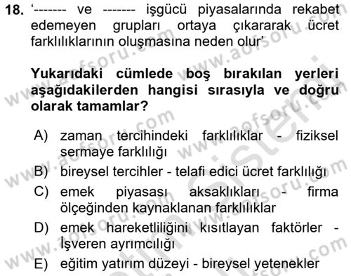 Çalışma Ekonomisi 1 Dersi 2022 - 2023 Yılı Yaz Okulu Sınav Soruları 18. Soru