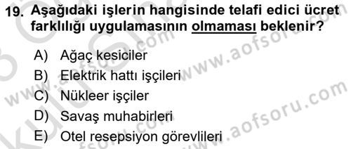 Çalışma Ekonomisi 1 Dersi 2022 - 2023 Yılı Yaz Okulu Sınav Soruları 19. Soru