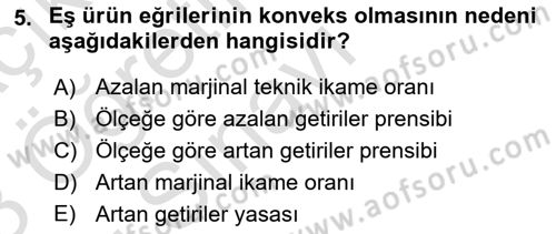 Çalışma Ekonomisi 1 Dersi 2022 - 2023 Yılı Yaz Okulu Sınav Soruları 5. Soru