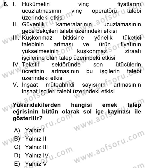 Çalışma Ekonomisi 1 Dersi 2022 - 2023 Yılı Yaz Okulu Sınav Soruları 6. Soru