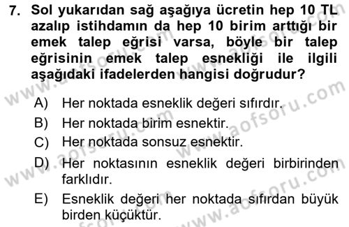Çalışma Ekonomisi 1 Dersi 2022 - 2023 Yılı Yaz Okulu Sınav Soruları 7. Soru