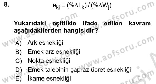Çalışma Ekonomisi 1 Dersi 2022 - 2023 Yılı Yaz Okulu Sınav Soruları 8. Soru