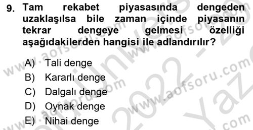 Çalışma Ekonomisi 1 Dersi 2022 - 2023 Yılı Yaz Okulu Sınav Soruları 9. Soru