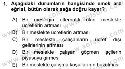 Çalışma Ekonomisi 1 Dersi 2023 - 2024 Yılı (Vize) Ara Sınav Soruları 1. Soru