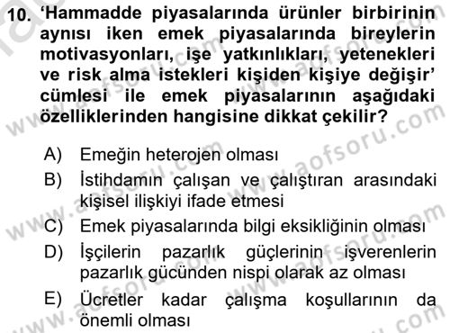 Çalışma Ekonomisi 1 Dersi 2023 - 2024 Yılı (Vize) Ara Sınav Soruları 10. Soru