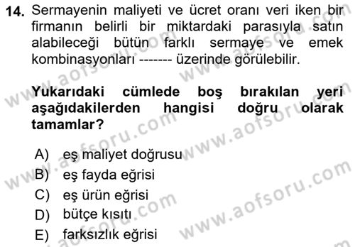 Çalışma Ekonomisi 1 Dersi 2023 - 2024 Yılı (Vize) Ara Sınav Soruları 14. Soru