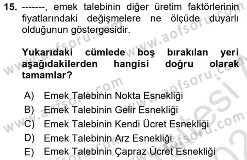 Çalışma Ekonomisi 1 Dersi 2023 - 2024 Yılı (Vize) Ara Sınav Soruları 15. Soru