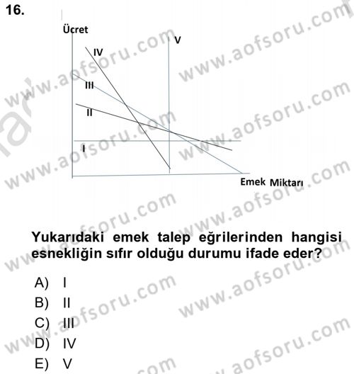 Çalışma Ekonomisi 1 Dersi 2023 - 2024 Yılı (Vize) Ara Sınav Soruları 16. Soru