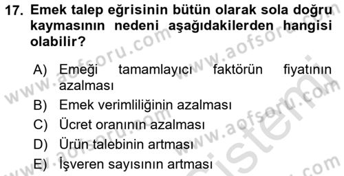 Çalışma Ekonomisi 1 Dersi 2023 - 2024 Yılı (Vize) Ara Sınav Soruları 17. Soru