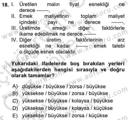 Çalışma Ekonomisi 1 Dersi 2023 - 2024 Yılı (Vize) Ara Sınav Soruları 18. Soru