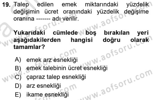 Çalışma Ekonomisi 1 Dersi 2023 - 2024 Yılı (Vize) Ara Sınav Soruları 19. Soru