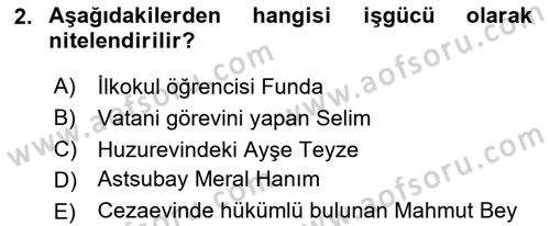 Çalışma Ekonomisi 1 Dersi 2023 - 2024 Yılı (Vize) Ara Sınav Soruları 2. Soru