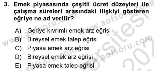 Çalışma Ekonomisi 1 Dersi 2023 - 2024 Yılı (Vize) Ara Sınav Soruları 3. Soru