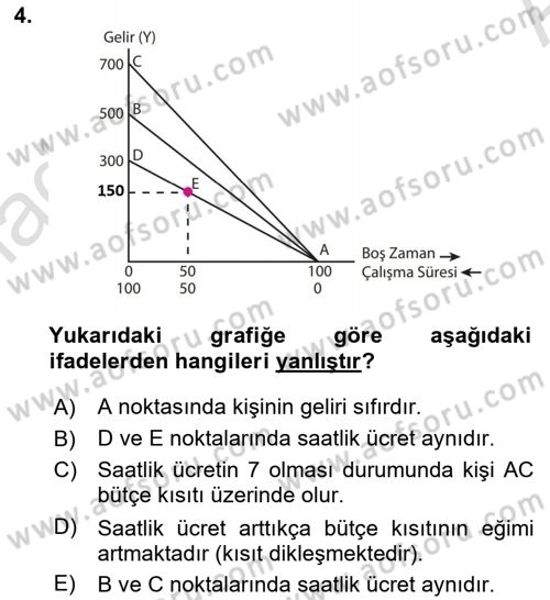 Çalışma Ekonomisi 1 Dersi 2023 - 2024 Yılı (Vize) Ara Sınav Soruları 4. Soru