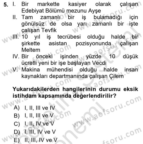 Çalışma Ekonomisi 1 Dersi 2023 - 2024 Yılı (Vize) Ara Sınav Soruları 5. Soru