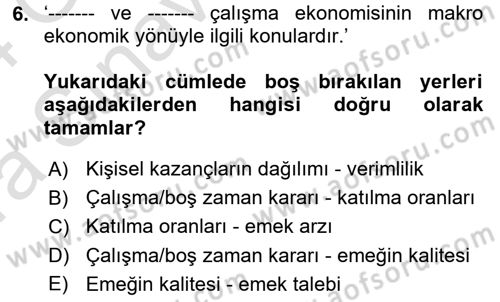 Çalışma Ekonomisi 1 Dersi 2023 - 2024 Yılı (Vize) Ara Sınav Soruları 6. Soru