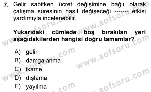 Çalışma Ekonomisi 1 Dersi 2023 - 2024 Yılı (Vize) Ara Sınav Soruları 7. Soru