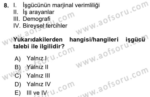 Çalışma Ekonomisi 1 Dersi 2023 - 2024 Yılı (Vize) Ara Sınav Soruları 8. Soru