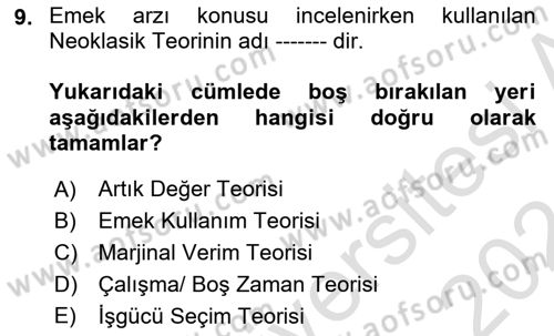 Çalışma Ekonomisi 1 Dersi 2023 - 2024 Yılı (Vize) Ara Sınav Soruları 9. Soru