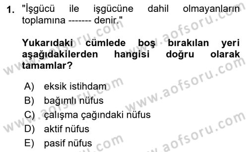 Çalışma Ekonomisi 1 Dersi 2023 - 2024 Yılı (Final) Dönem Sonu Sınav Soruları 1. Soru