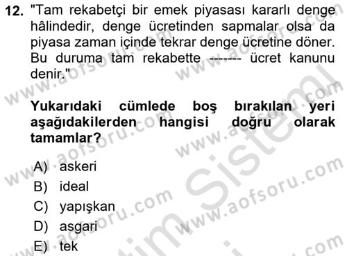 Çalışma Ekonomisi 1 Dersi 2023 - 2024 Yılı (Final) Dönem Sonu Sınav Soruları 12. Soru