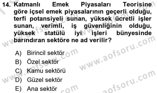 Çalışma Ekonomisi 1 Dersi 2023 - 2024 Yılı (Final) Dönem Sonu Sınav Soruları 14. Soru