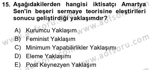 Çalışma Ekonomisi 1 Dersi 2023 - 2024 Yılı (Final) Dönem Sonu Sınav Soruları 15. Soru