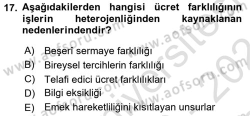 Çalışma Ekonomisi 1 Dersi 2023 - 2024 Yılı (Final) Dönem Sonu Sınav Soruları 17. Soru
