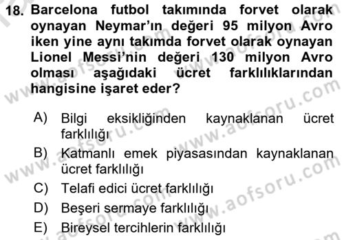 Çalışma Ekonomisi 1 Dersi 2023 - 2024 Yılı (Final) Dönem Sonu Sınav Soruları 18. Soru