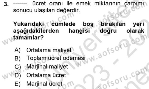 Çalışma Ekonomisi 1 Dersi 2023 - 2024 Yılı (Final) Dönem Sonu Sınav Soruları 3. Soru