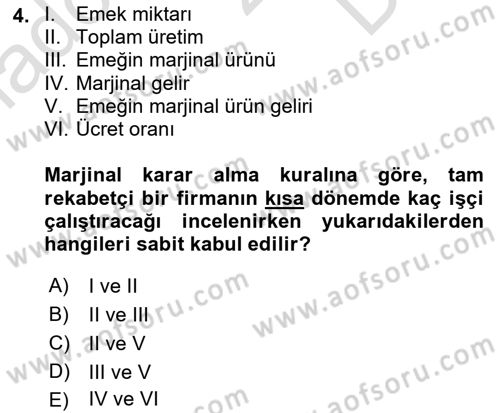 Çalışma Ekonomisi 1 Dersi 2023 - 2024 Yılı (Final) Dönem Sonu Sınav Soruları 4. Soru