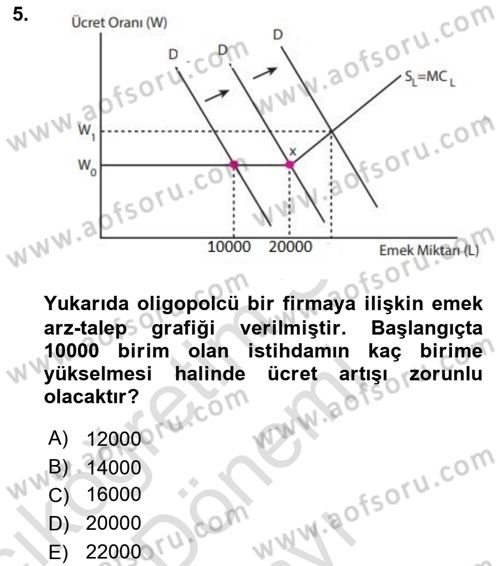 Çalışma Ekonomisi 1 Dersi 2023 - 2024 Yılı (Final) Dönem Sonu Sınav Soruları 5. Soru