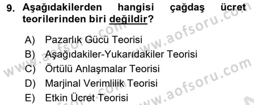 Çalışma Ekonomisi 1 Dersi 2023 - 2024 Yılı (Final) Dönem Sonu Sınav Soruları 9. Soru