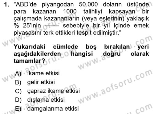 Çalışma Ekonomisi 1 Dersi 2023 - 2024 Yılı Yaz Okulu Sınav Soruları 1. Soru