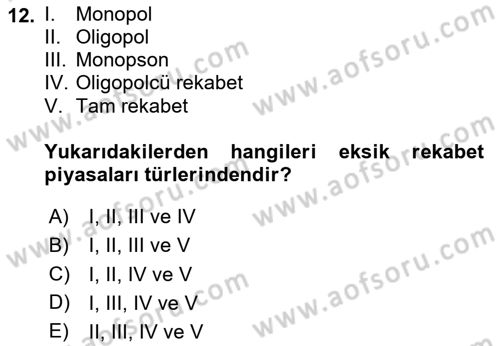 Çalışma Ekonomisi 1 Dersi 2023 - 2024 Yılı Yaz Okulu Sınav Soruları 12. Soru