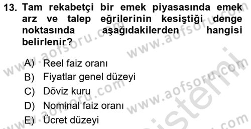 Çalışma Ekonomisi 1 Dersi 2023 - 2024 Yılı Yaz Okulu Sınav Soruları 13. Soru