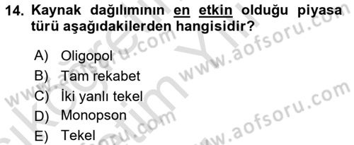 Çalışma Ekonomisi 1 Dersi 2023 - 2024 Yılı Yaz Okulu Sınav Soruları 14. Soru