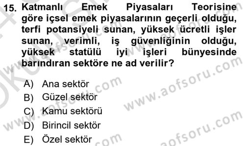 Çalışma Ekonomisi 1 Dersi 2023 - 2024 Yılı Yaz Okulu Sınav Soruları 15. Soru