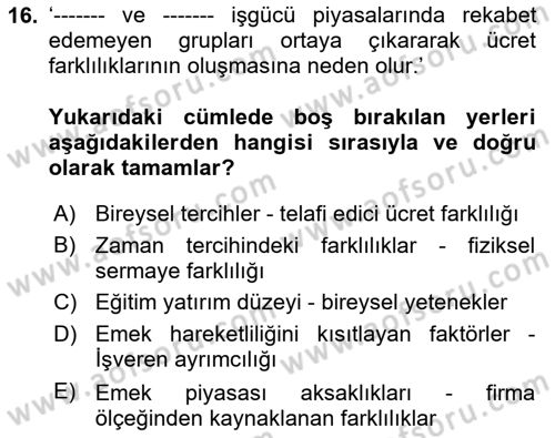 Çalışma Ekonomisi 1 Dersi 2023 - 2024 Yılı Yaz Okulu Sınav Soruları 16. Soru