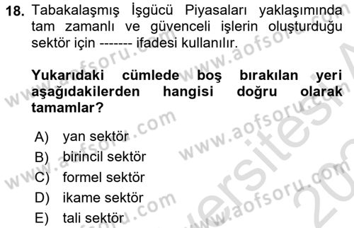 Çalışma Ekonomisi 1 Dersi 2023 - 2024 Yılı Yaz Okulu Sınav Soruları 18. Soru