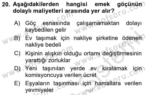 Çalışma Ekonomisi 1 Dersi 2023 - 2024 Yılı Yaz Okulu Sınav Soruları 20. Soru