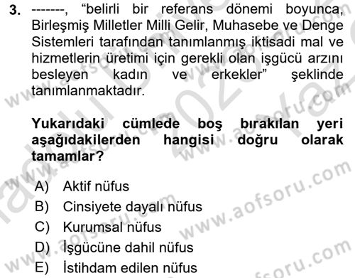 Çalışma Ekonomisi 1 Dersi 2023 - 2024 Yılı Yaz Okulu Sınav Soruları 3. Soru