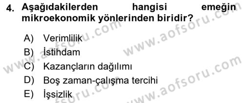 Çalışma Ekonomisi 1 Dersi 2023 - 2024 Yılı Yaz Okulu Sınav Soruları 4. Soru