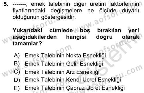 Çalışma Ekonomisi 1 Dersi 2023 - 2024 Yılı Yaz Okulu Sınav Soruları 5. Soru